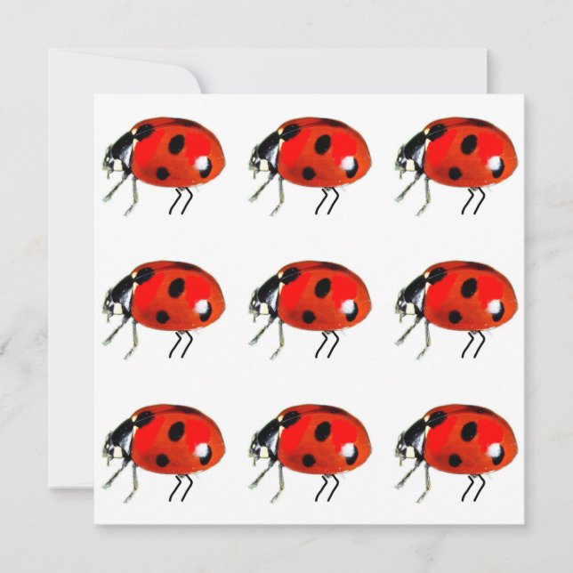 Carte pour notes de Ladybugs (Devant)