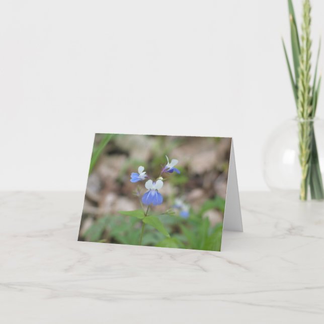 Carte pour notes de Mary aux yeux bleus (Devant)