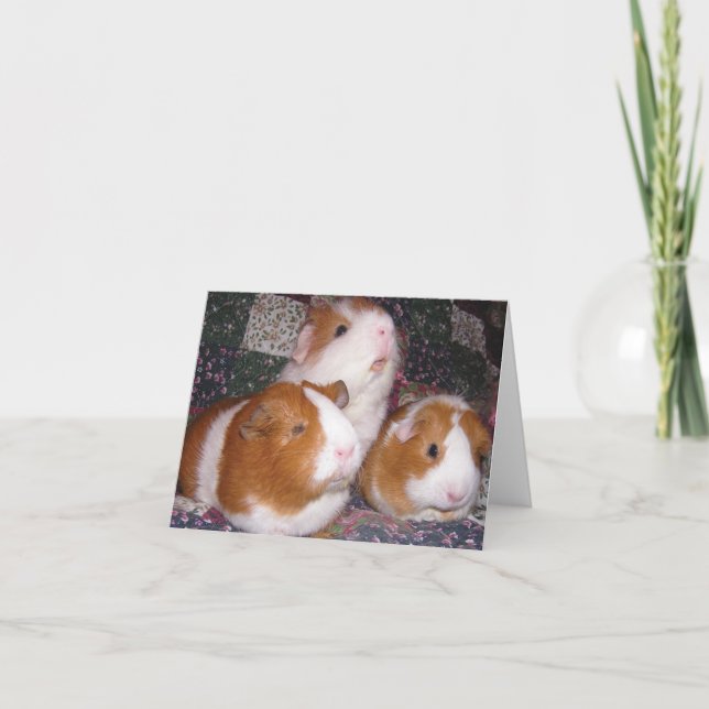 Carte pour notes de Minerva et d'amis (Devant)