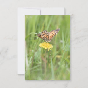 Carte pour notes de papillon de la Dame peinte amé