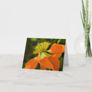 Carte pour notes de pavot de rayon de soleil