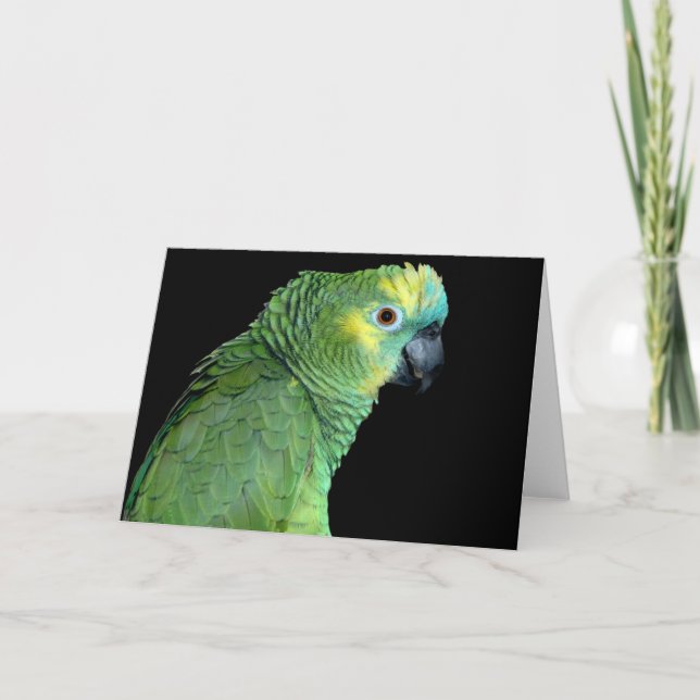 Carte pour notes de perroquet de l'Amazonie (Devant)