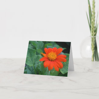 Carte pour notes de photographie