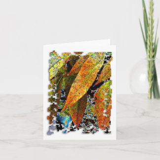 Carte pour notes de Pistache de Chinois