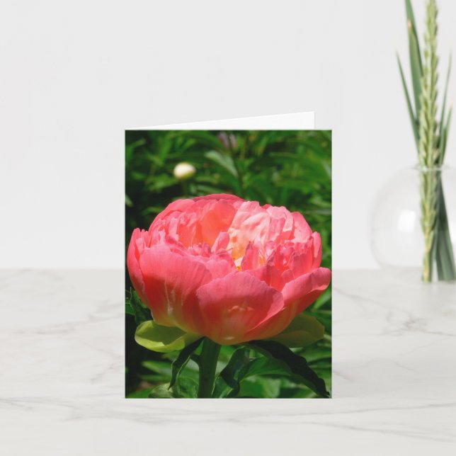 CARTE POUR NOTES "DE PIVOINE ROSE DE ROUGISSEMENT" (Devant)
