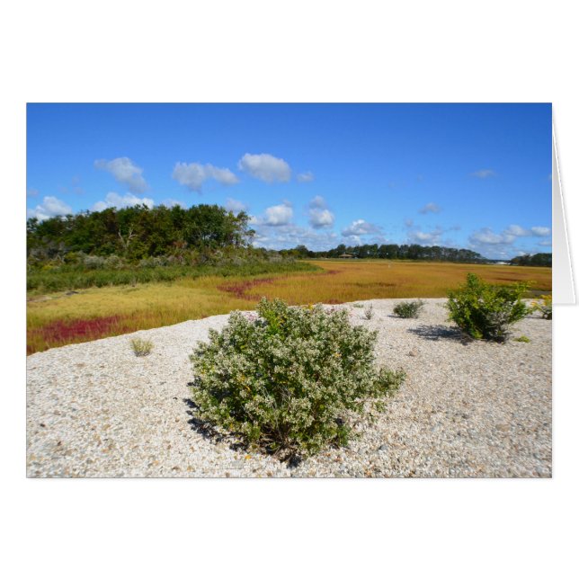 Carte pour notes de plage et de marais (Devant Horizontal)