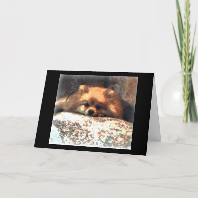 Carte pour notes de Pomeranian (Devant)