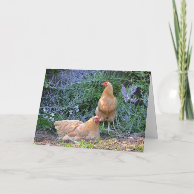 Carte pour notes de poules de soleil (Devant)