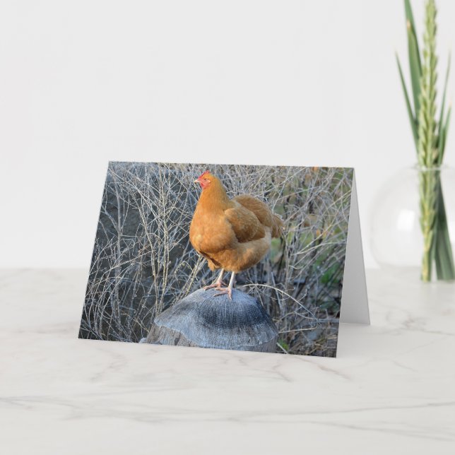 Carte pour notes de poulet (Devant)