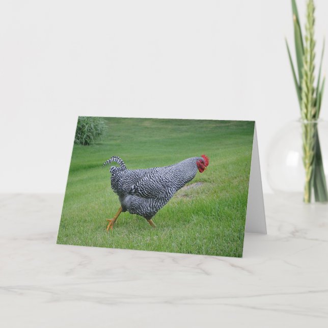 Carte pour notes de poulet (Devant)