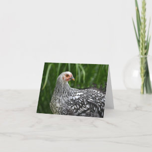Carte pour notes de poulet