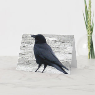 Carte pour notes de Raven de plage