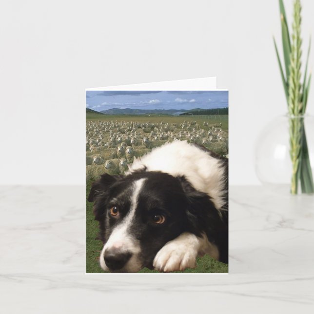 Carte pour notes de rêves de border collie (Devant)