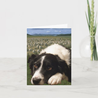 Carte pour notes de rêves de border collie