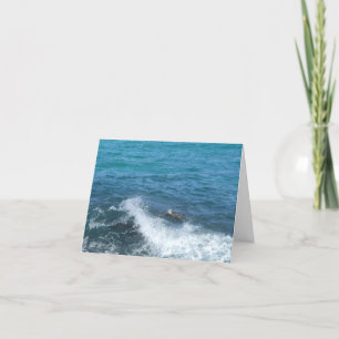 carte pour notes de tortue de natation