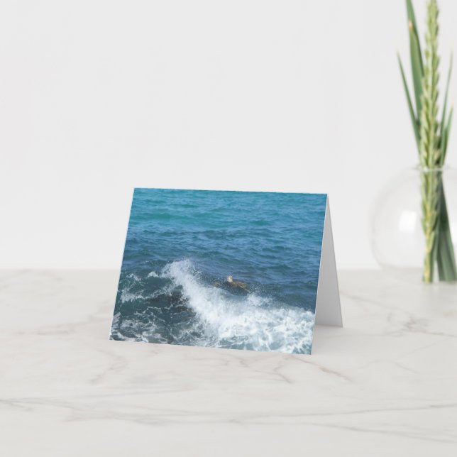carte pour notes de tortue de natation (blanc à (Devant)