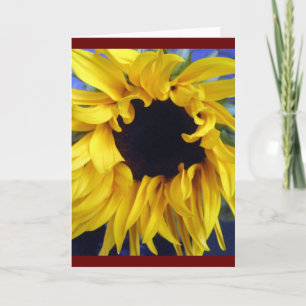carte pour notes de tournesol