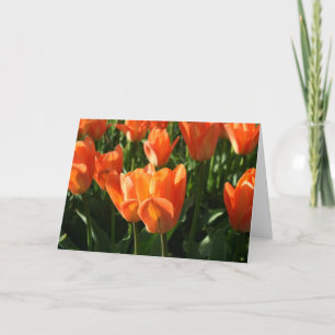 Carte pour notes de tulipes