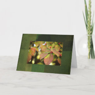 Carte pour notes des baies d'automne