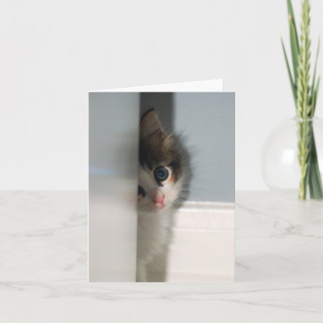 Carte pour notes d'innocence (Devant)