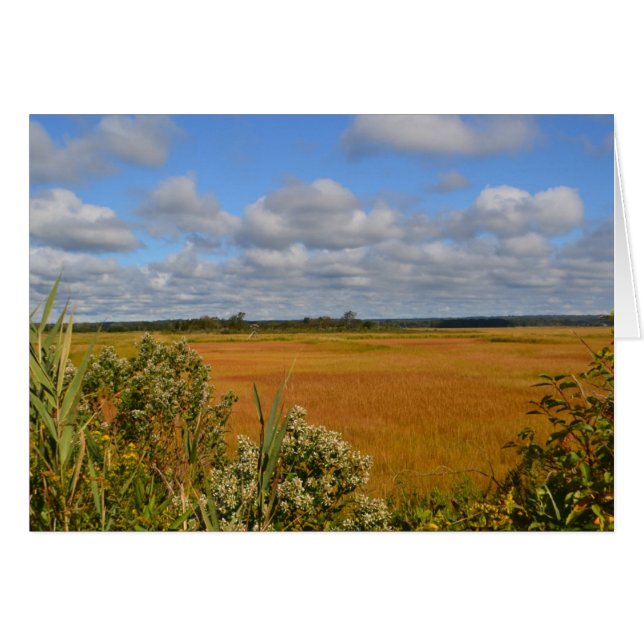 Carte pour notes du marais salé (Devant Horizontal)