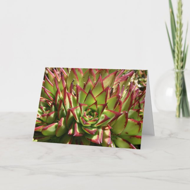 Carte pour notes Echeveria (Devant)
