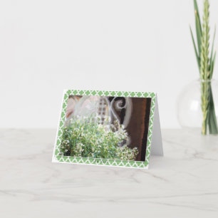 Carte pour notes et enveloppe vides LK de chaise