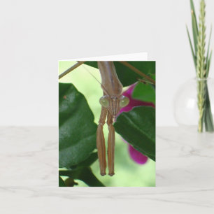 Carte pour notes Exterminateur