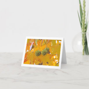 carte pour notes "FEUILLES" (PHTOG)