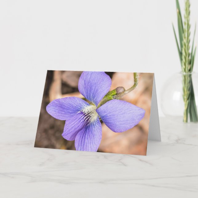 Carte pour notes Fleur sauvage Wood Violet (Devant)