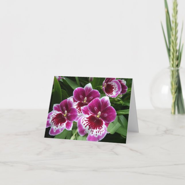 Carte pour notes floral à usage général - Orchidée (Devant)