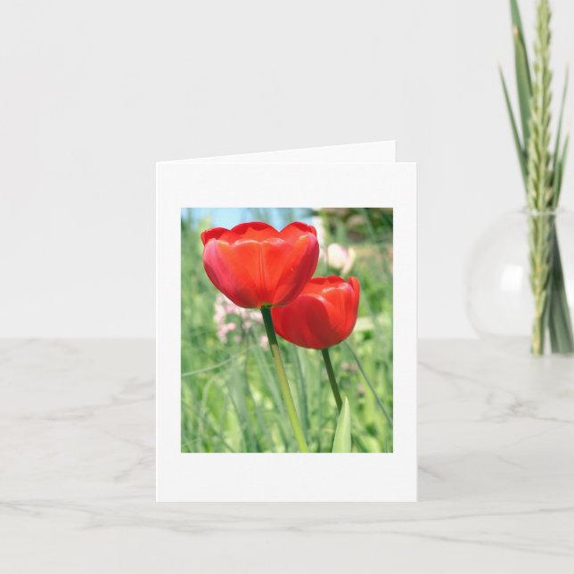 Carte pour notes floral blanc (Devant)