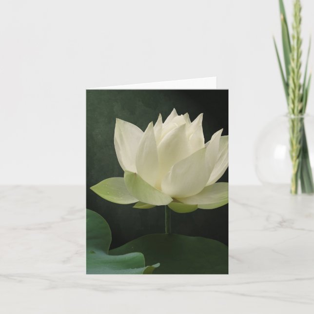 Carte pour notes floral de fleur de Lotus blanc (Devant)