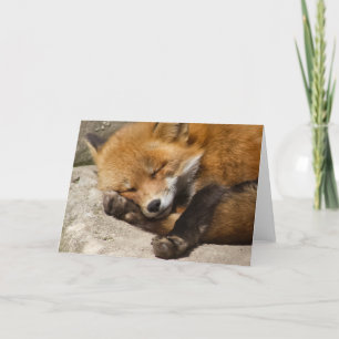 Carte pour notes Fox couché