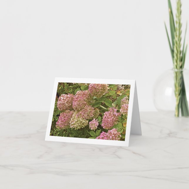 carte pour notes "HYDRANGEA" (Devant)