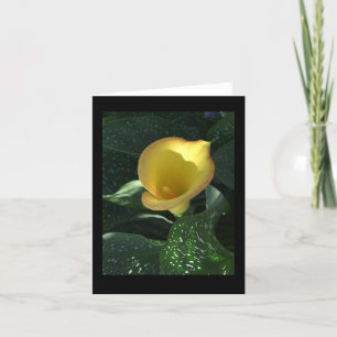 Carte pour notes jaune Calla Lily