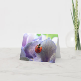 Carte pour notes LadyBug