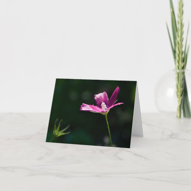 Carte pour notes magenta de fleur sauvage (Devant)
