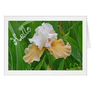CARTE POUR NOTES, PEACH ET BLANC IRIS/ HELLO /PHOT