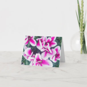 Carte pour notes photo rose floral Cyclamen
