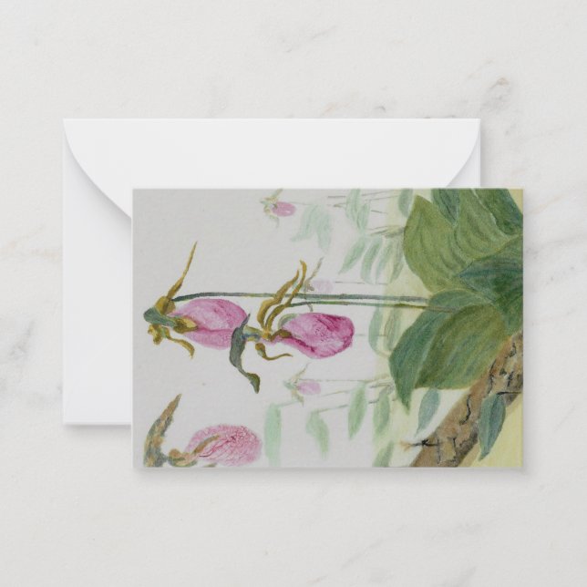 Carte pour notes plat rose Lady Slipper (Devant)