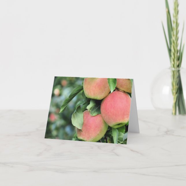 Carte pour notes - Pommes (Devant)