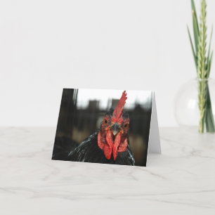 CARTE POUR NOTES POULET