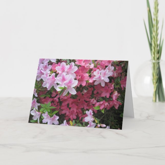 Carte pour notes rose Azalea (Devant)