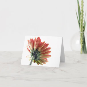 Carte pour notes rose de marguerite de Gerbera