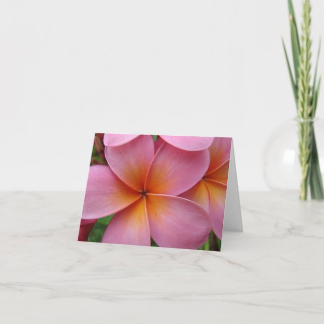 Carte pour notes rose de Plumeria (Devant)