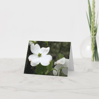 Carte pour notes sensible de cornouiller