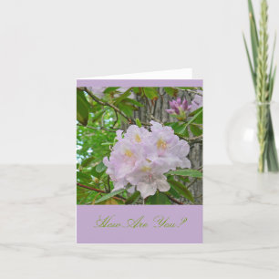 CARTE POUR NOTES, "SOFT PALE LAVENDER RHODODENDRON
