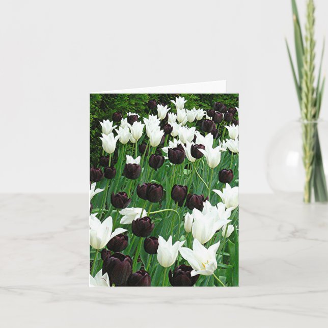 carte pour notes "Tulipes noires et blanches" (Devant)