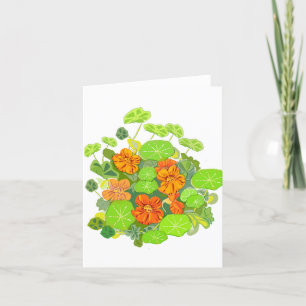 Carte pour notes vide Nasturtiums